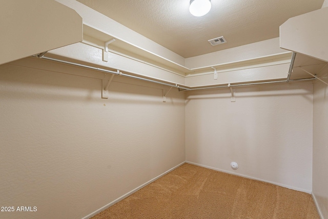 spacious closet with carpet flooring