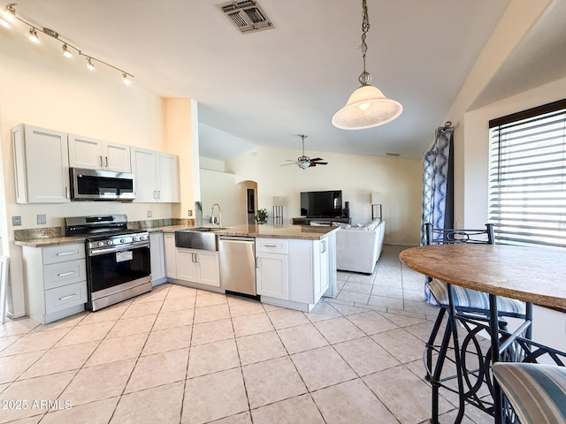 17371 N 86th Ave, Peoria, AZ 85382 - kitchen featuring appliances with stainless steel finishes, lofted ceiling, a sink, a peninsula, and ceiling fan