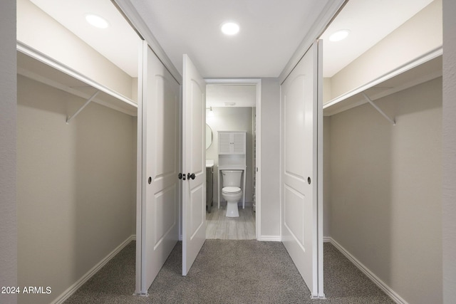 spacious closet with carpet flooring