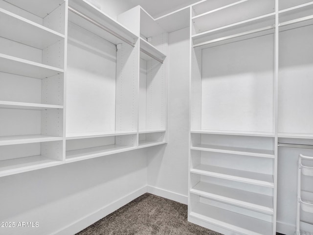 spacious closet with dark colored carpet