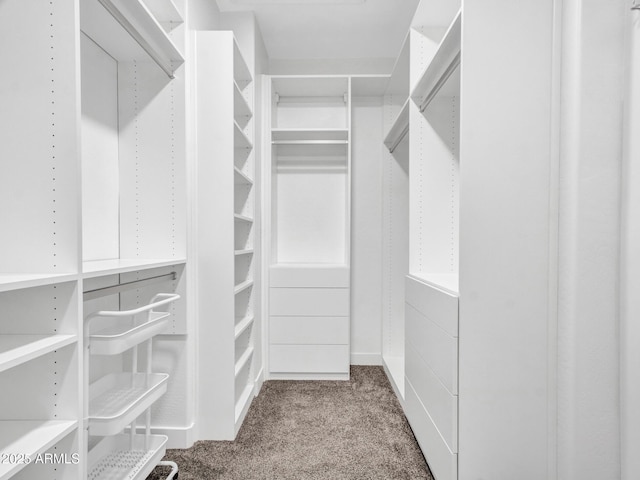 walk in closet featuring carpet floors