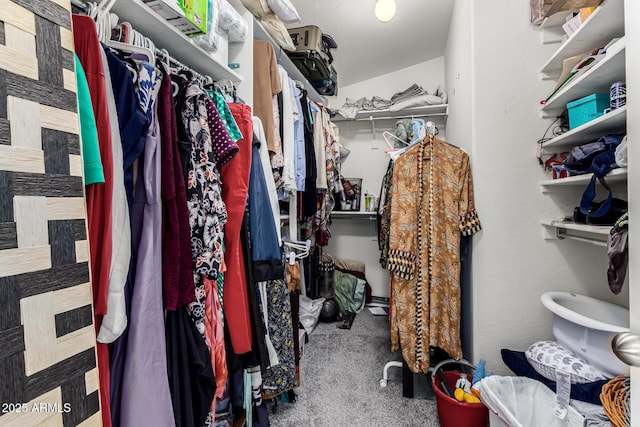 spacious closet with carpet flooring