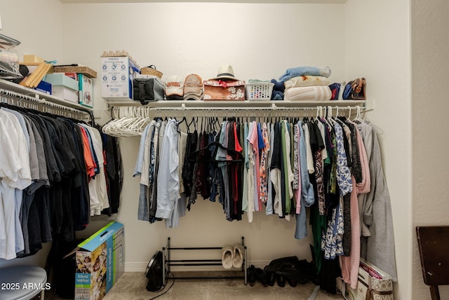 spacious closet featuring carpet flooring