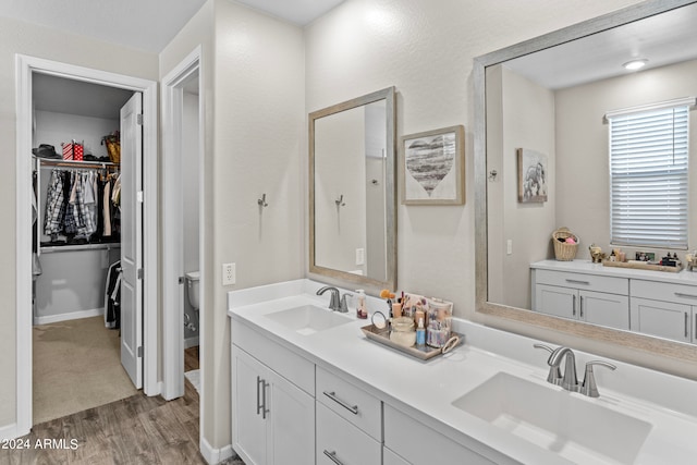 bathroom with vanity and hardwood / wood-style floors