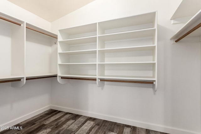 spacious closet featuring dark wood-style floors