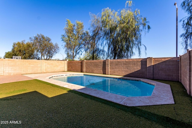 view of pool featuring a fenced backyard and a patio area