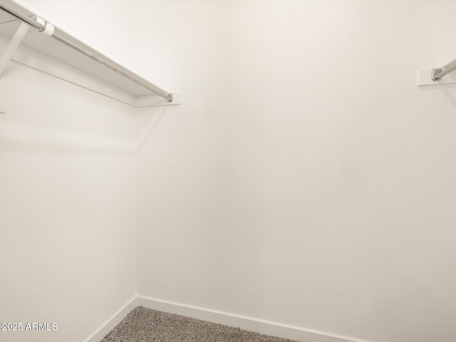 spacious closet with carpet flooring