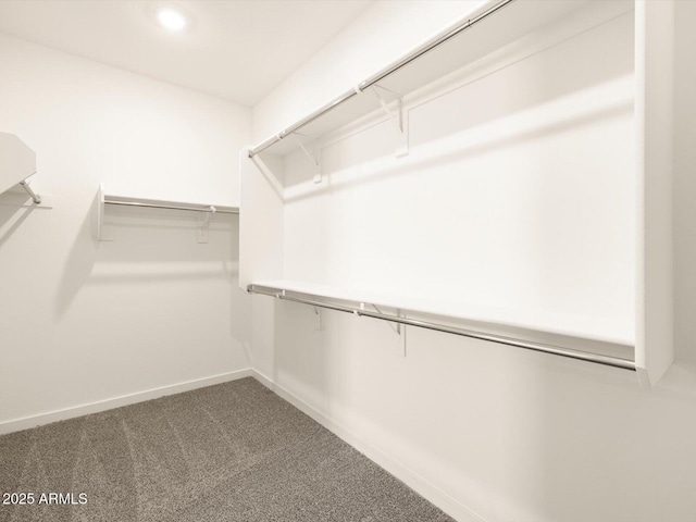 spacious closet with carpet floors