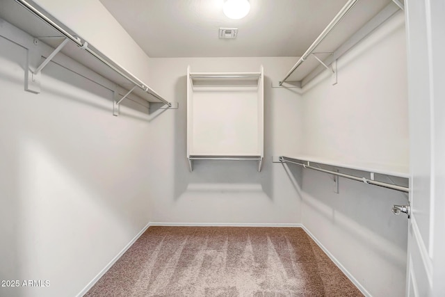 walk in closet featuring carpet