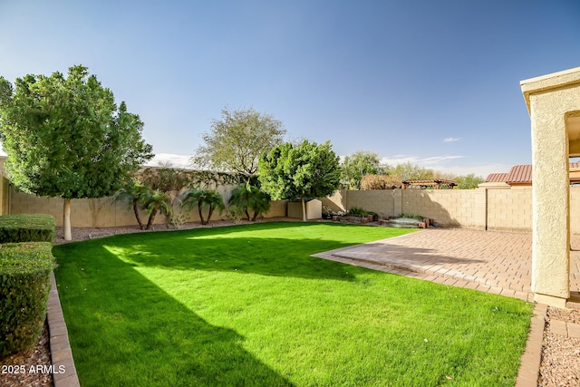 view of yard with a patio area