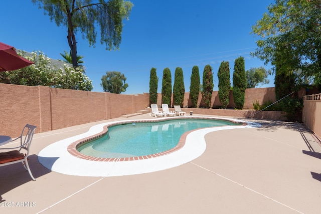 111 N Soho Pl, Chandler, AZ 85225 - view of swimming pool featuring a fenced backyard and a patio