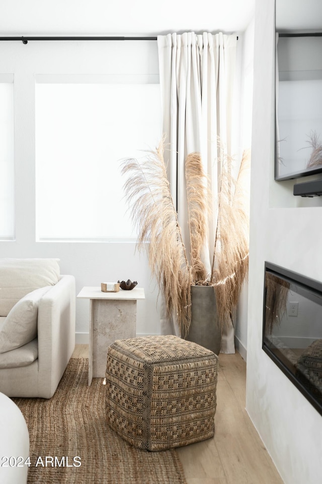 living area featuring light wood-type flooring