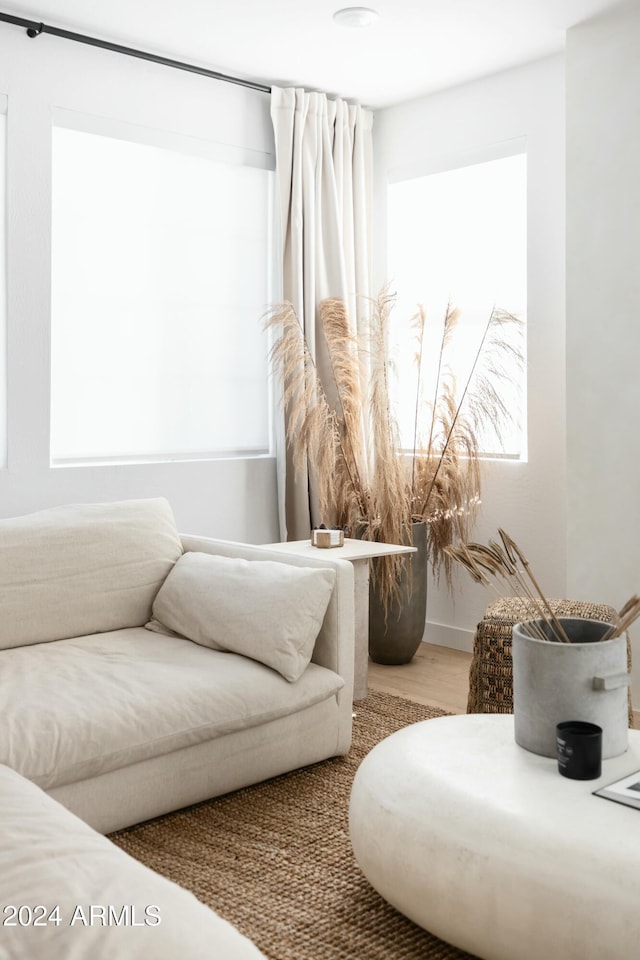 living area featuring hardwood / wood-style floors and a wealth of natural light