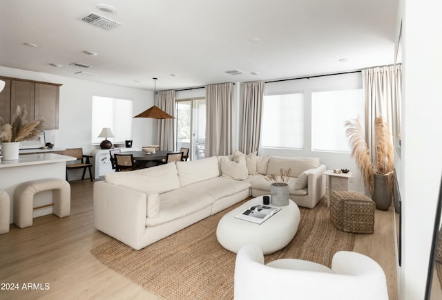 living room featuring light hardwood / wood-style floors