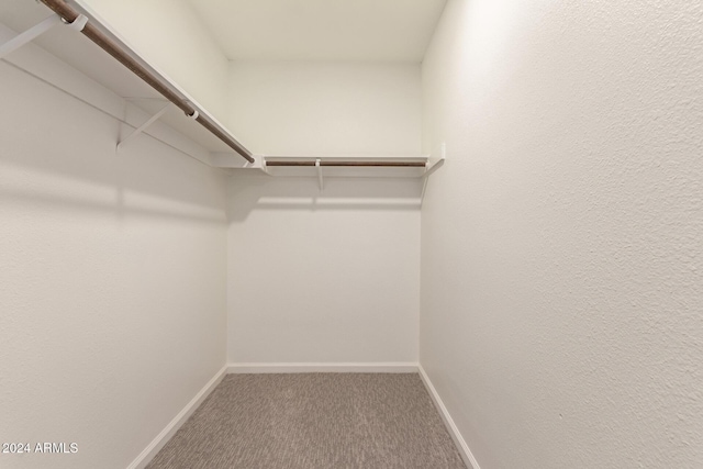 spacious closet featuring carpet flooring