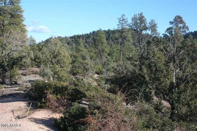 3103 S Monument Peak Unit 168, Payson AZ, 85541 land for sale