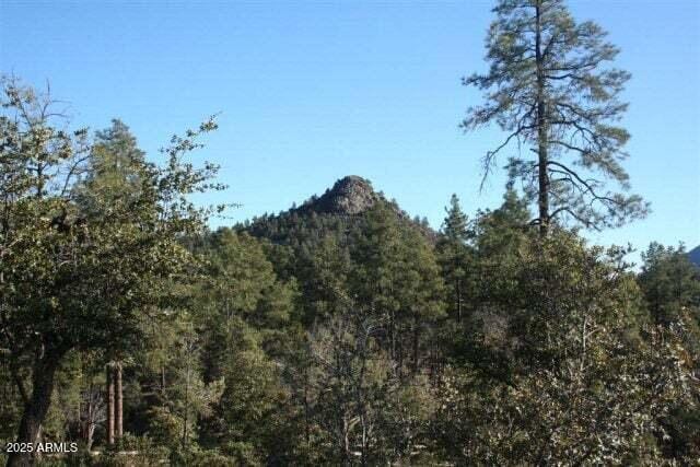 Listing photo 3 for 3103 S Monument Peak Unit 168, Payson AZ 85541