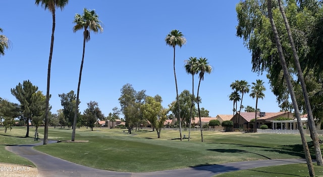 view of home's community with a lawn