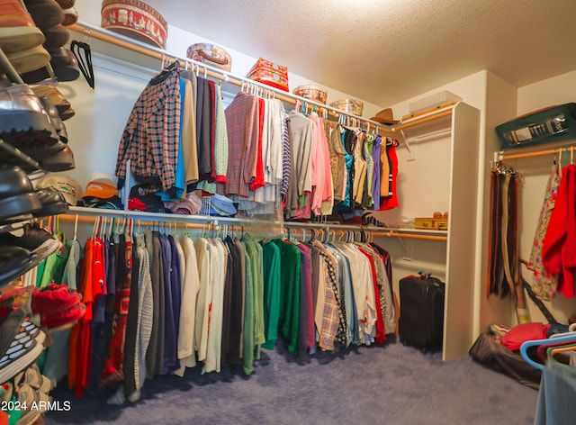 spacious closet with carpet