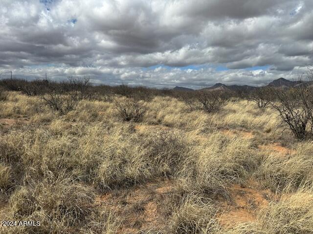 TBD S Logans Run Unit 18, Hereford AZ, 85615 land for sale