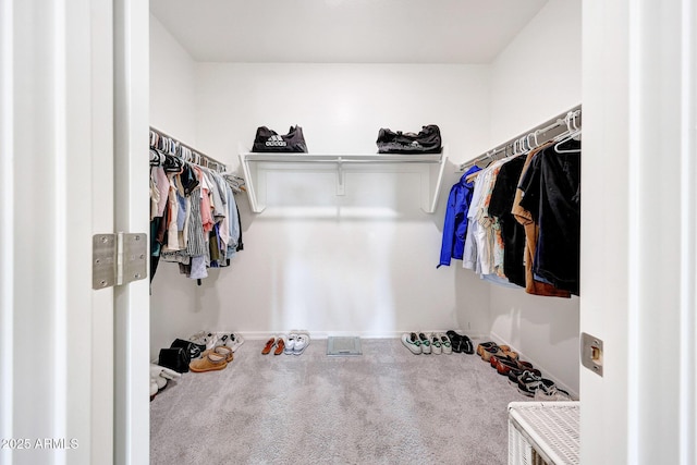 4911 N 193rd Ave, Litchfield Park, AZ 85340 - walk in closet with carpet