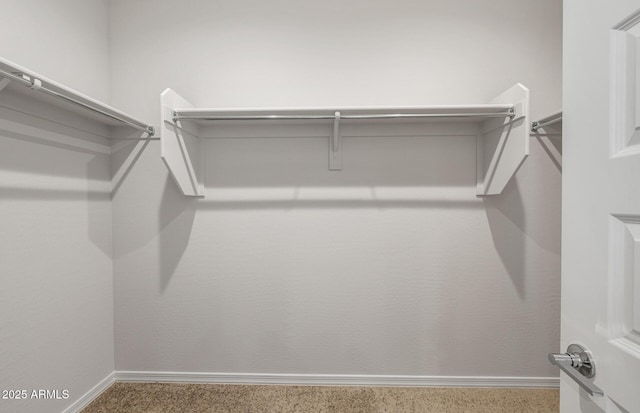 spacious closet with carpet flooring