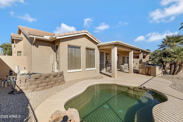 rear view of property with an outdoor kitchen and a patio area