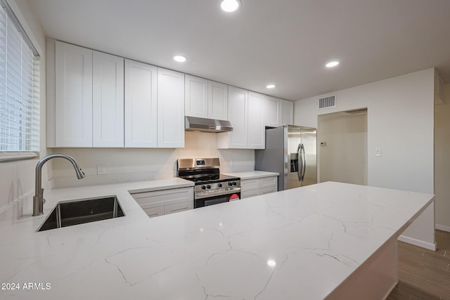 kitchen with white cabinetry, light stone counters, sink, and stainless steel appliances