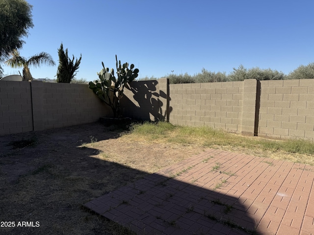 view of yard featuring a patio