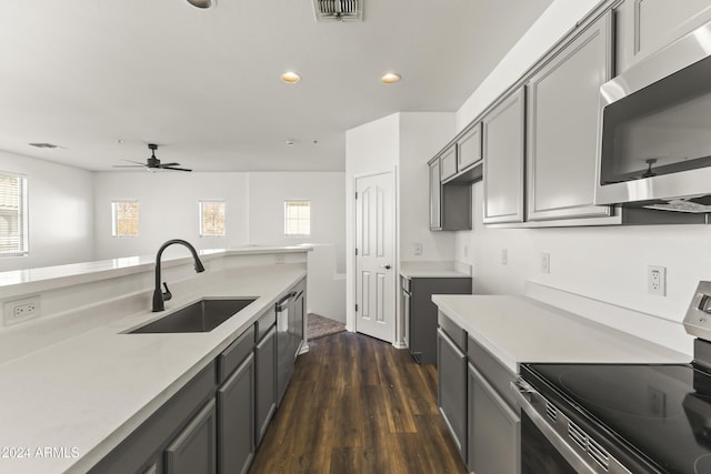 kitchen featuring stainless steel appliances, ceiling fan, sink, gray cabinets, and dark hardwood / wood-style floors