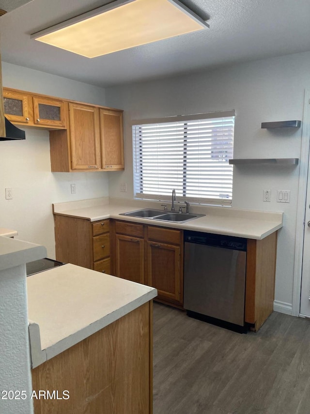 kitchen with dark wood-type flooring, stainless steel dishwasher, and sink