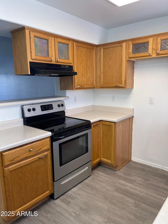 kitchen with stainless steel range with electric cooktop and light hardwood / wood-style floors