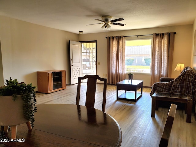 living room with light hardwood / wood-style floors and ceiling fan