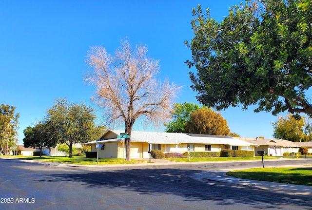 ranch-style house featuring a front yard