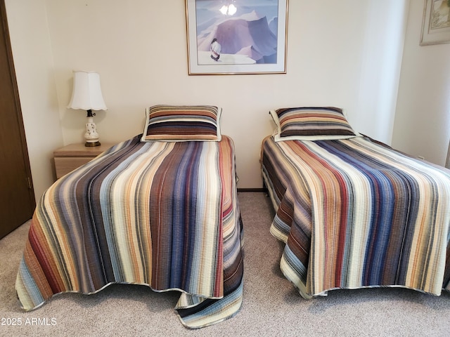 bedroom with carpet floors