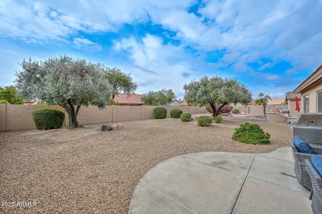 view of yard with a patio area