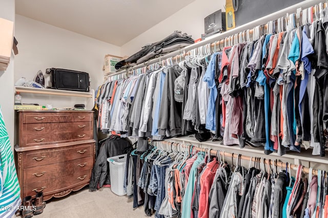 view of walk in closet