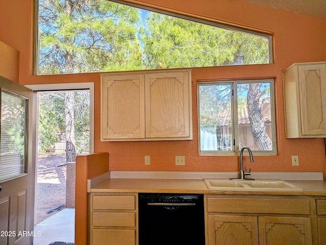 kitchen with black dishwasher, a sink, light countertops, and healthy amount of natural light