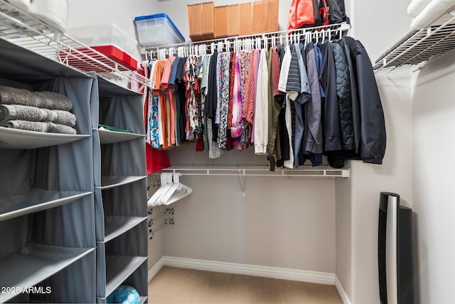 spacious closet featuring carpet flooring