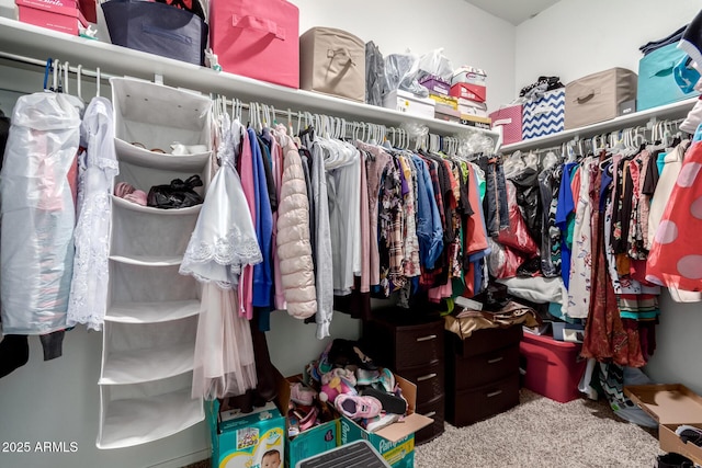 spacious closet featuring carpet