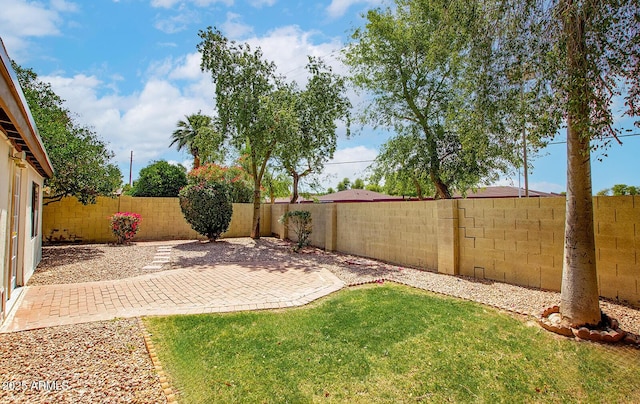 1601 E Cindy St, Chandler, AZ 85225 - view of yard featuring a patio and a fenced backyard