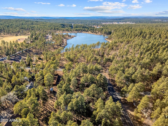 bird's eye view with a water view and a wooded view