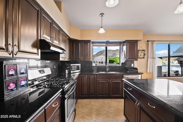 20657 N 56th Ave, Glendale, AZ 85308 - kitchen with stainless steel appliances, under cabinet range hood, healthy amount of natural light, and dark brown cabinets