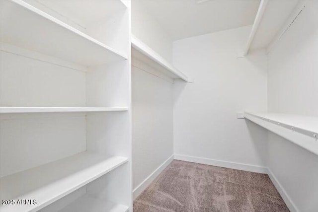 623 W Guadalupe Rd Unit 288, Mesa, AZ 85210 - walk in closet with carpet