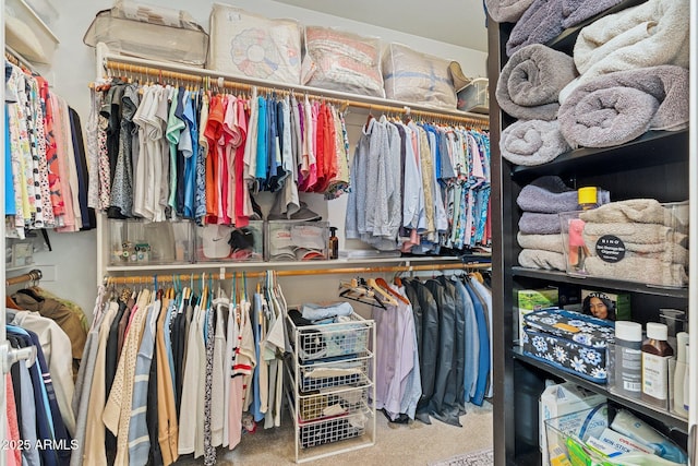 walk in closet featuring carpet floors