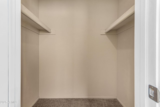 walk in closet with dark colored carpet