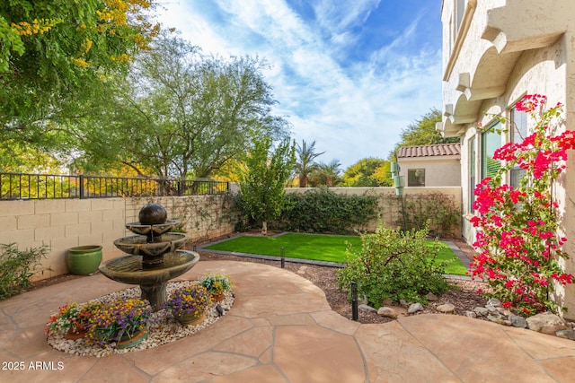 view of yard with a patio