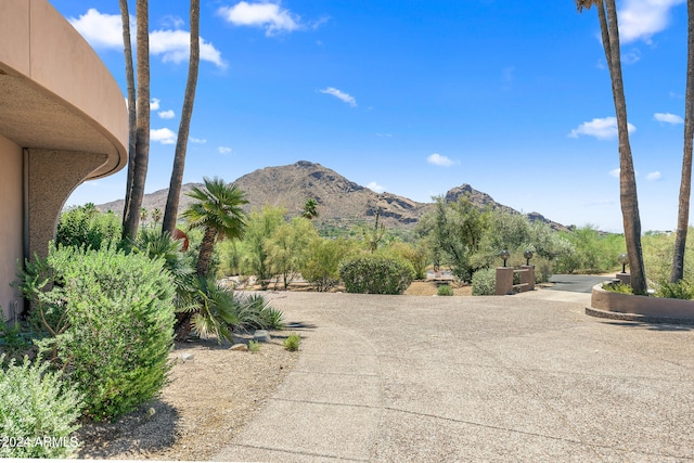 Listing photo 3 for 6841 N 58th Place --, Paradise Valley AZ 85253