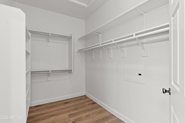 walk in closet featuring wood finished floors