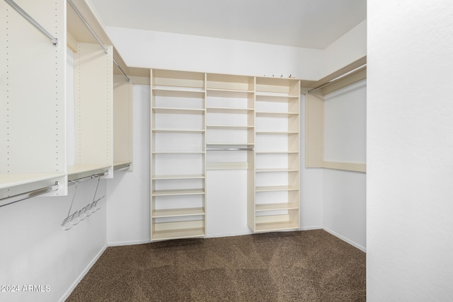 spacious closet with carpet